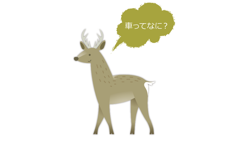 エゾシカってこんな動物